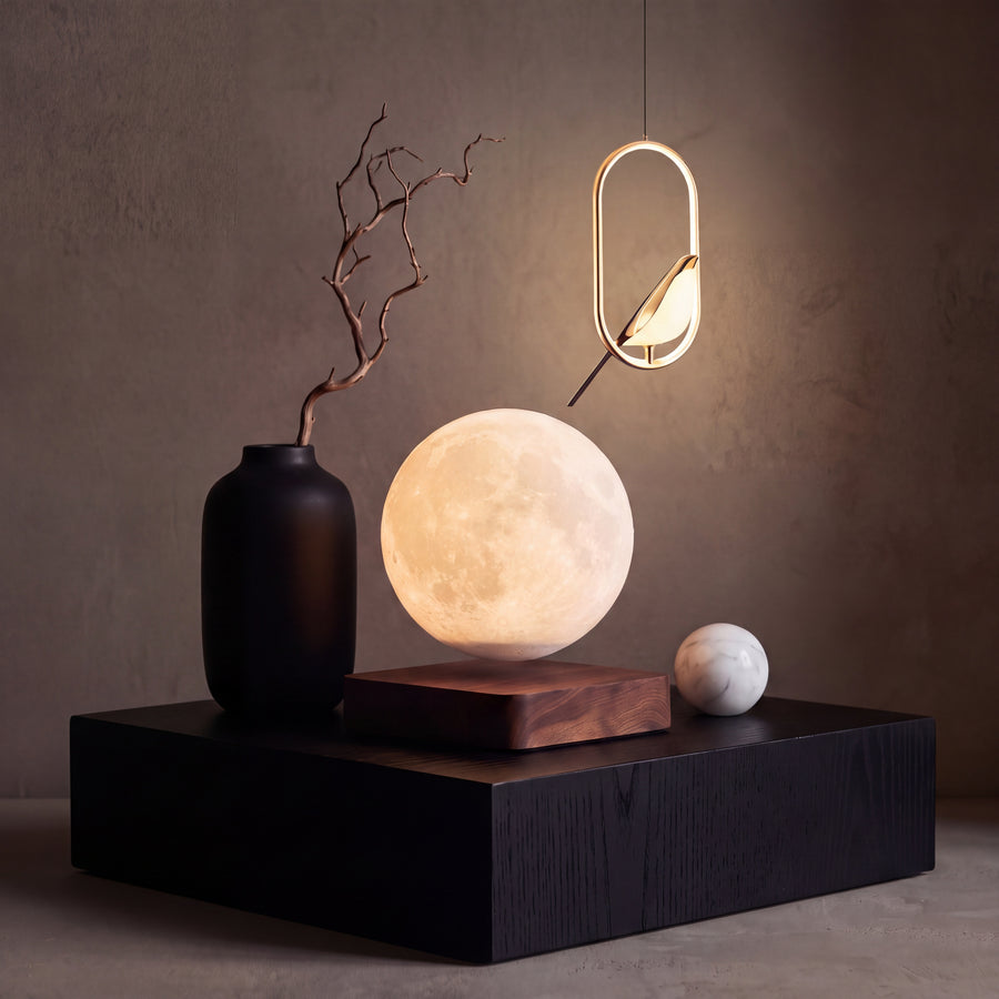 Sculptural & Statement Lighting