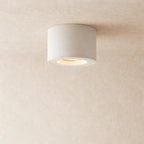 Adjustable LED Surface Downlight
