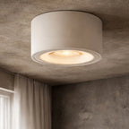 Adjustable LED Surface Downlight