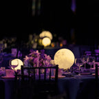Colour Changing Moon Garden Light