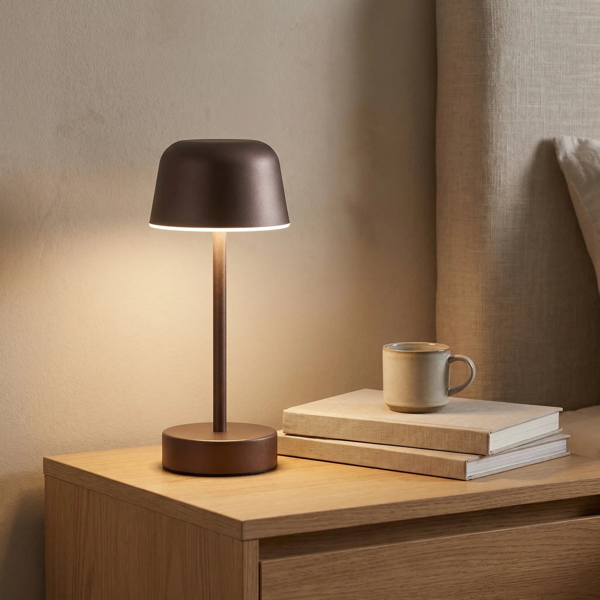 Colourful Iron Cordless Table Lamp