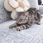 Cooling Stretch Sofa Slipcover