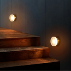 Dome Wall and Ceiling LED Light