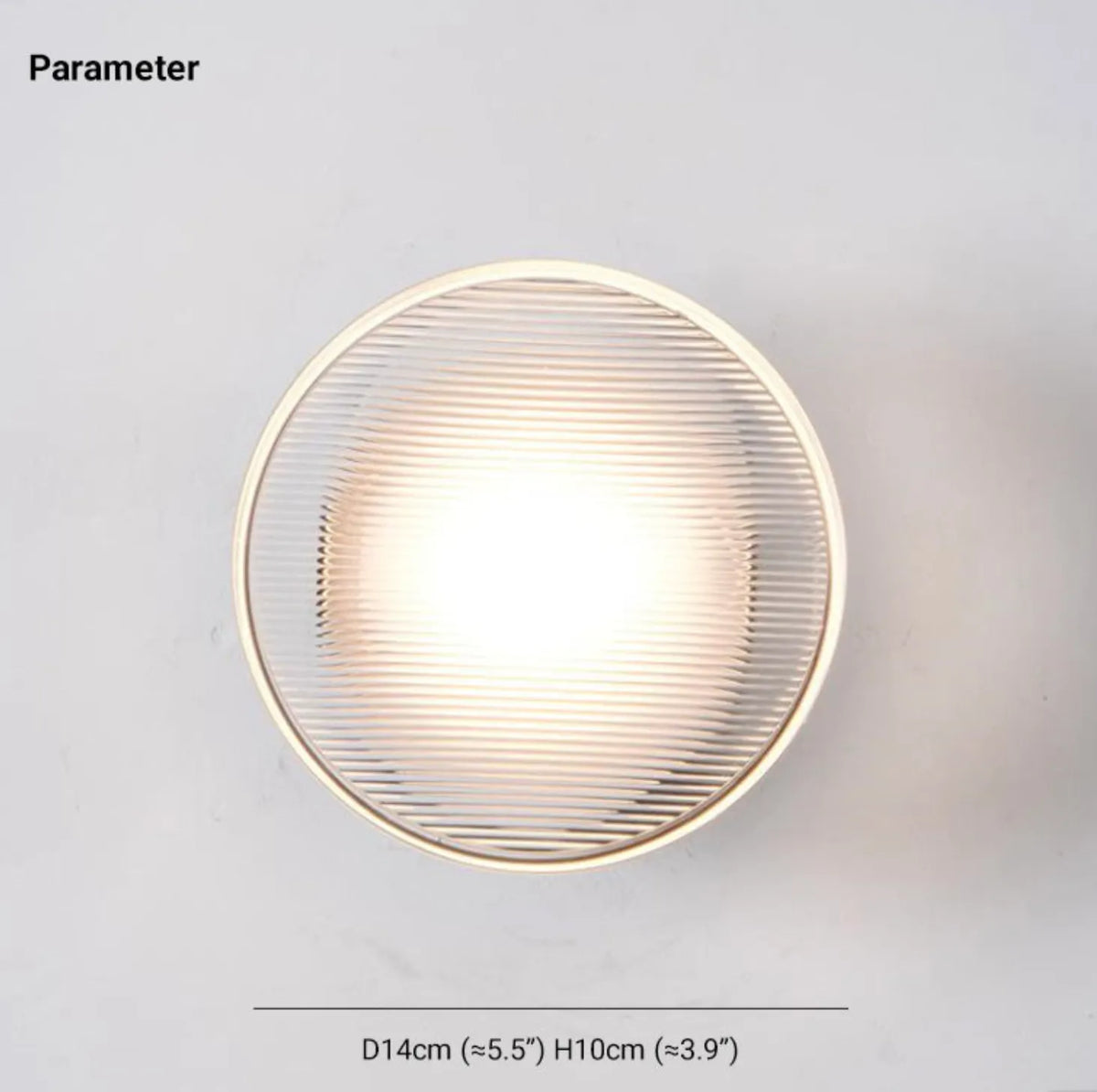 Dome Wall and Ceiling LED Light