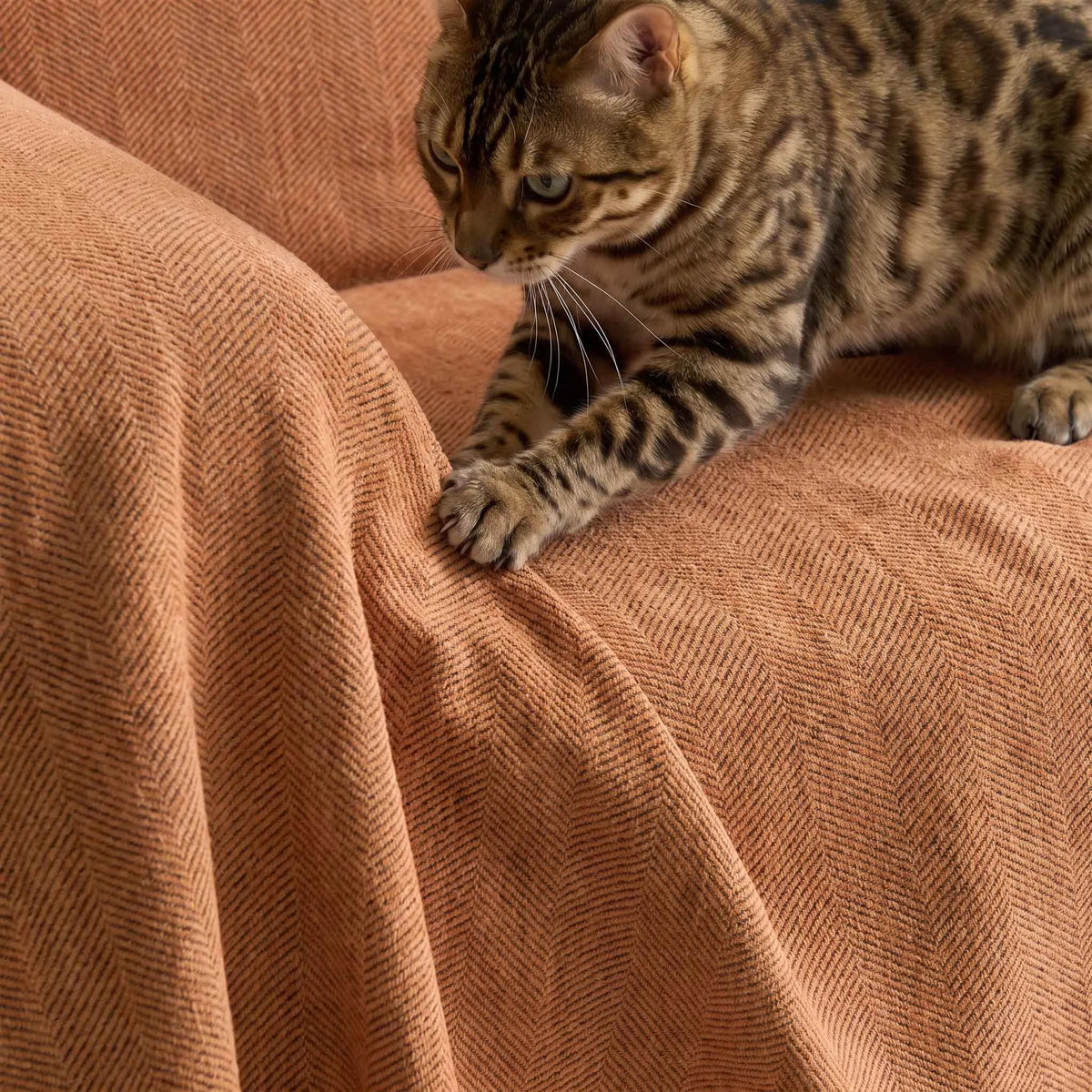 Herringbone Chenille Sofa Cover