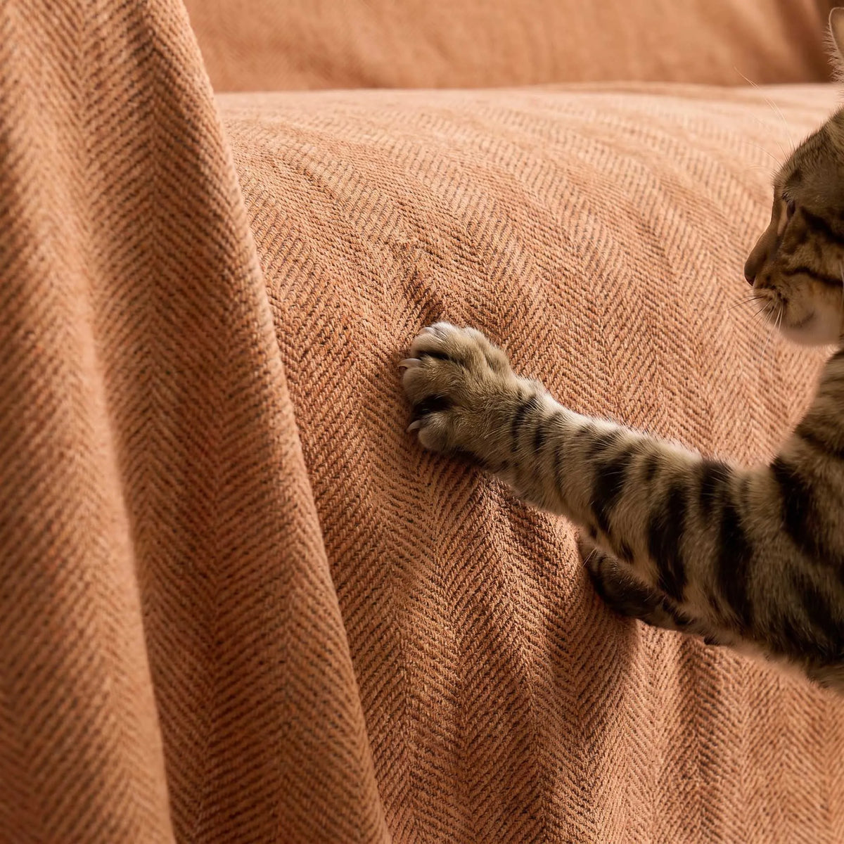 Herringbone Chenille Sofa Cover