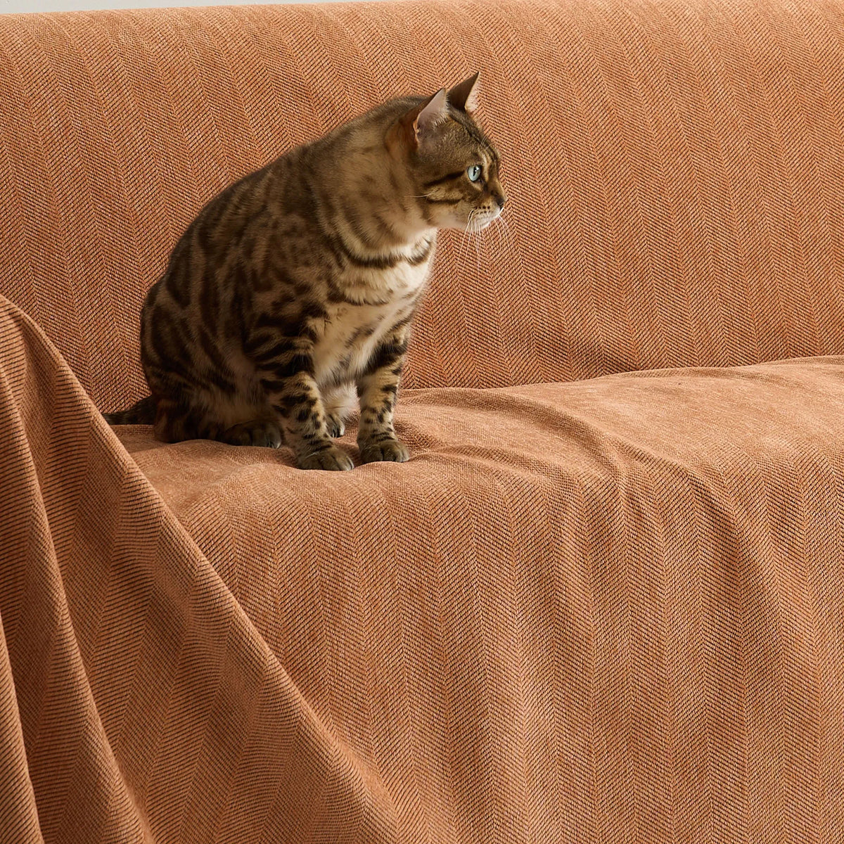 Herringbone Chenille Sofa Cover