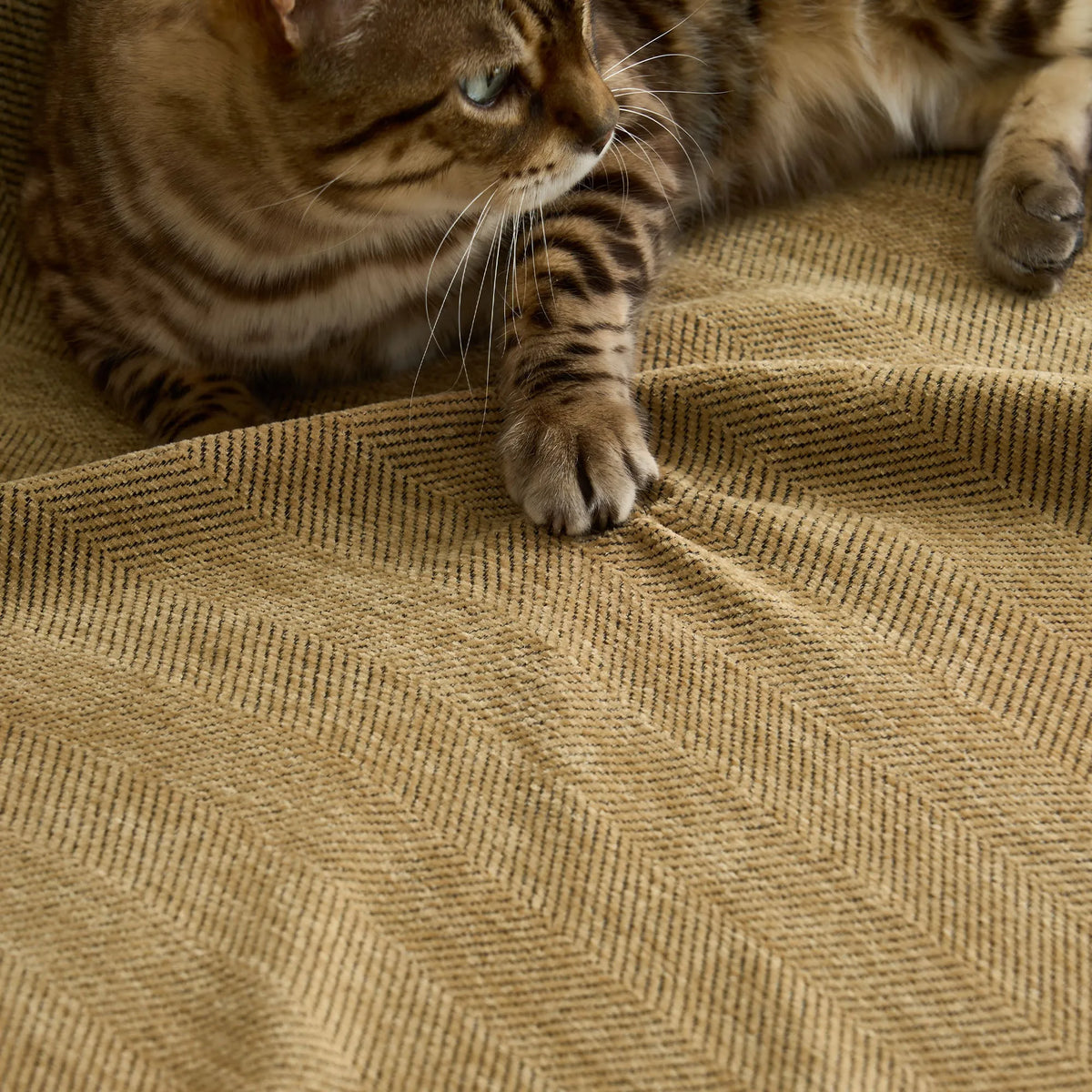 Herringbone Chenille Sofa Cover