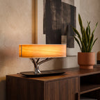 Lamp with Wireless Charger and Speaker