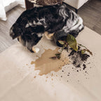 Liquid-Resistant Anti-Slip Sofa Cover