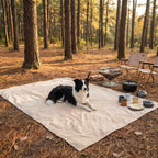 Liquid-Resistant Anti-Slip Sofa Cover