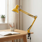 Long Arm Clip Lamp