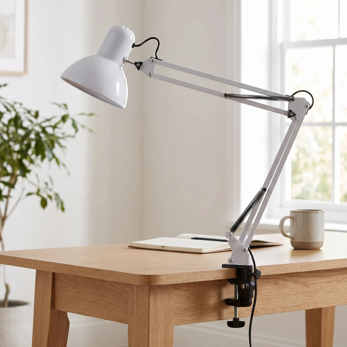 Long Arm Clip Lamp