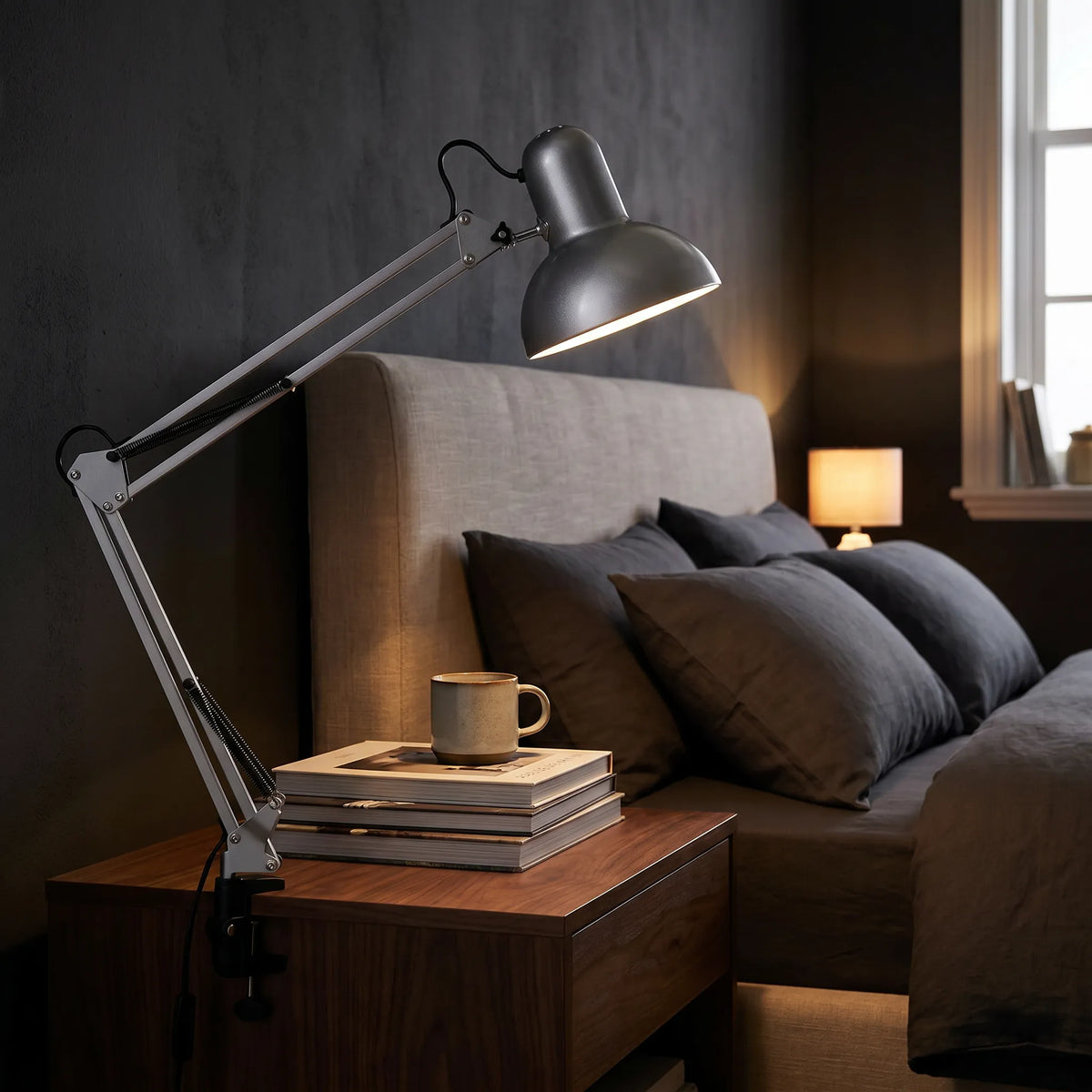 Long Arm Clip Lamp