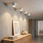 Mini Cylinder LED Ceiling Light