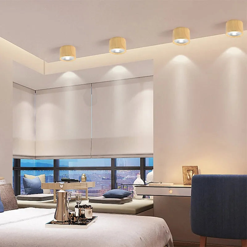 Mini Cylinder LED Ceiling Light