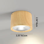 Mini Cylinder LED Ceiling Light