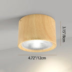 Mini Cylinder LED Ceiling Light