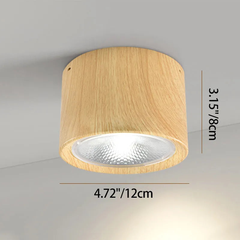 Mini Cylinder LED Ceiling Light
