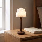 Northern Lights Projector Lamp