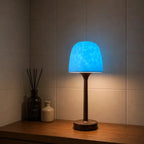 Northern Lights Projector Lamp