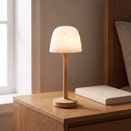 Northern Lights Projector Lamp