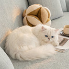 Pebble Weave Stretch Sofa Slipcover