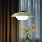 Plug-In Saucer Pendant Lamp