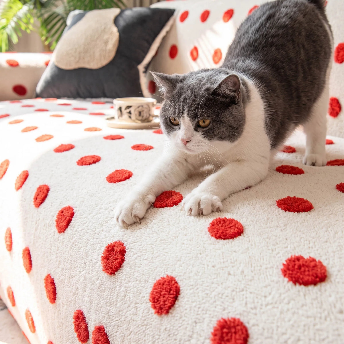 Raised Dot Plush Stretch Slipcover