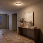 Rechargeable Motion Sensor Ceiling Light