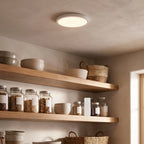 Rechargeable Motion Sensor Ceiling Light
