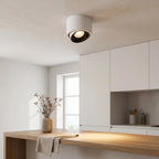 Round LED Ceiling Spotlight