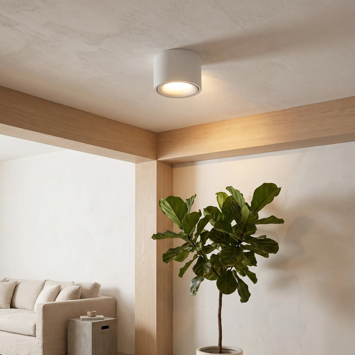 Round LED Ceiling Spotlight