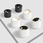 Round LED Ceiling Spotlight