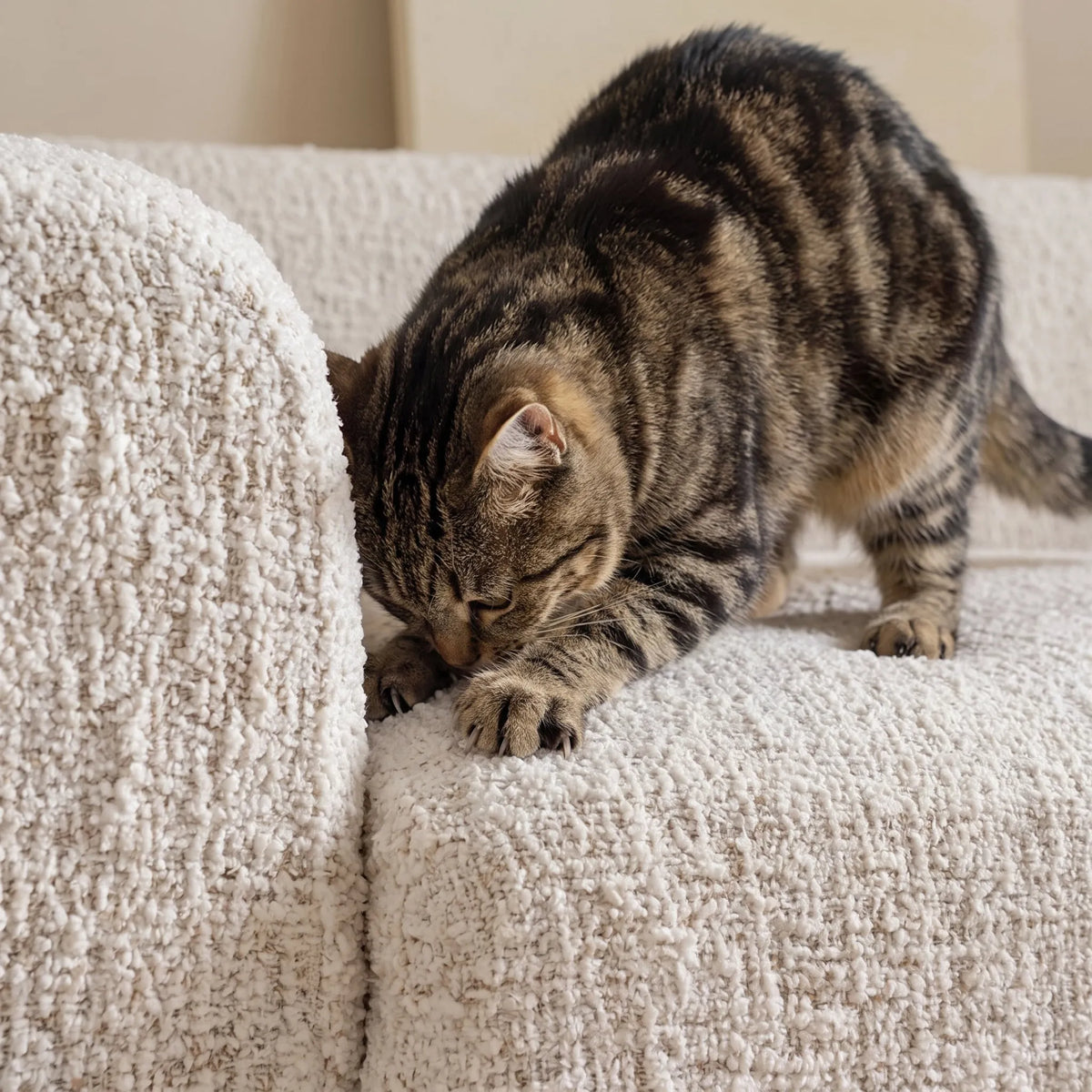 Sculpted Chenille Modular Sofa Cover