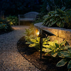 Solar Lawn Spotlight with Adjustable Head