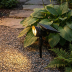 Solar Lawn Spotlight with Adjustable Head