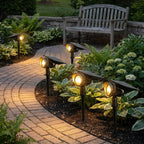 Solar Lawn Spotlight with Adjustable Head