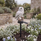 Solar Owl Garden Stake Light