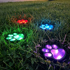 Solar Paw Print Path Lights