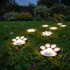Solar Paw Print Path Lights