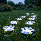Solar Paw Print Path Lights