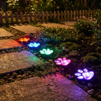 Solar Paw Print Path Lights