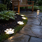 Solar Paw Print Path Lights