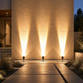 Solar Tree Uplight Spotlight