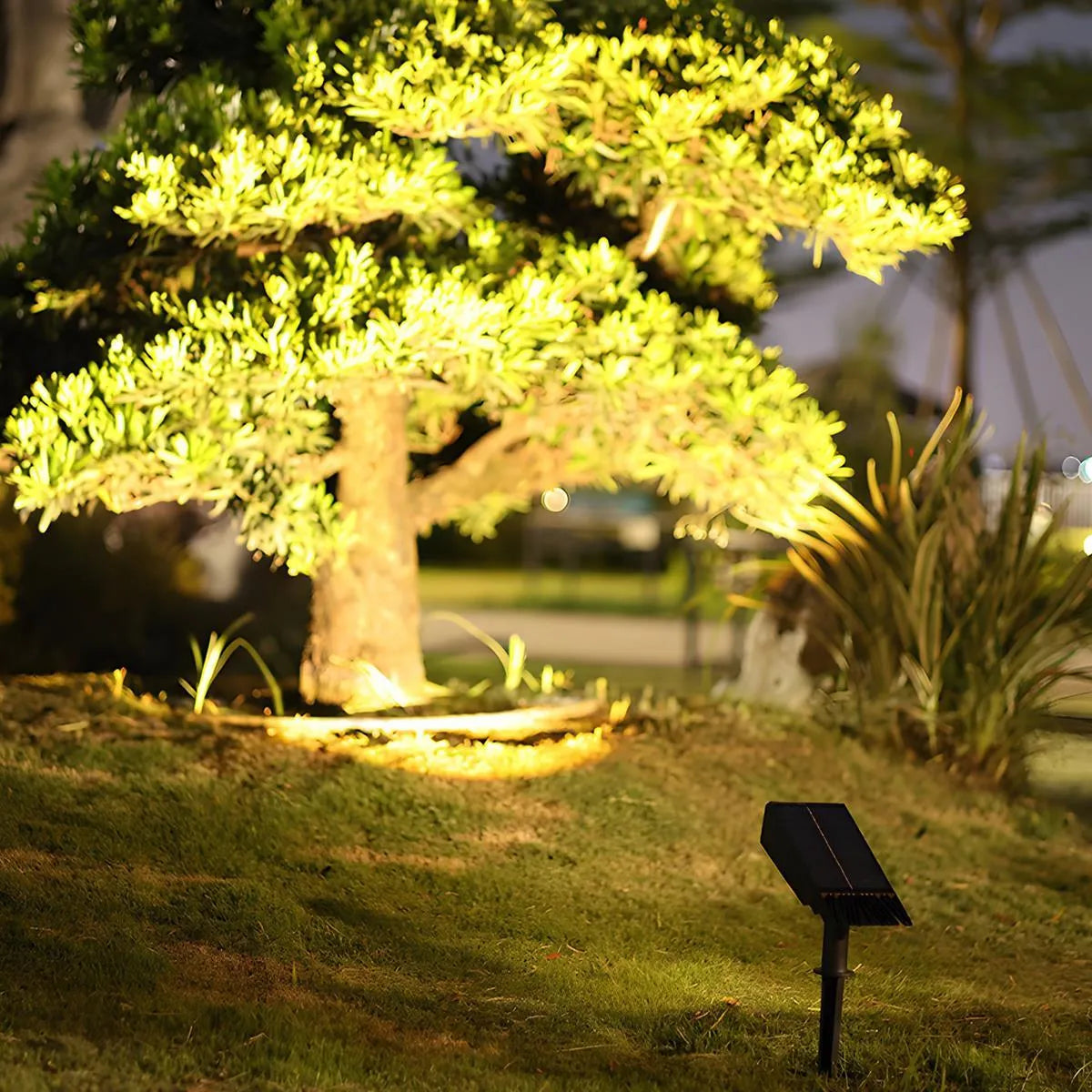 Solar Tree Uplight Spotlight