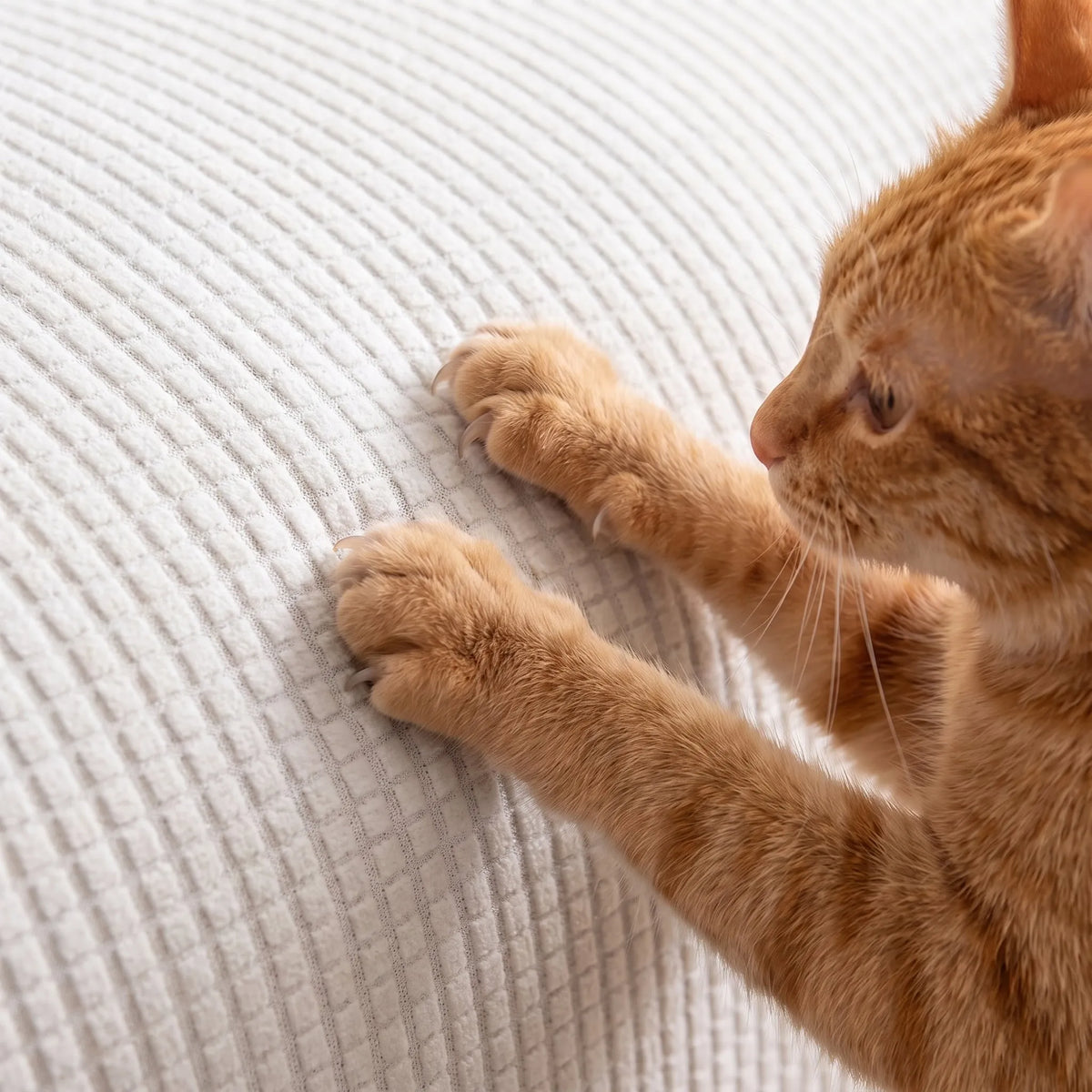 Spill-Resistant Fleece Stretch Slipcover