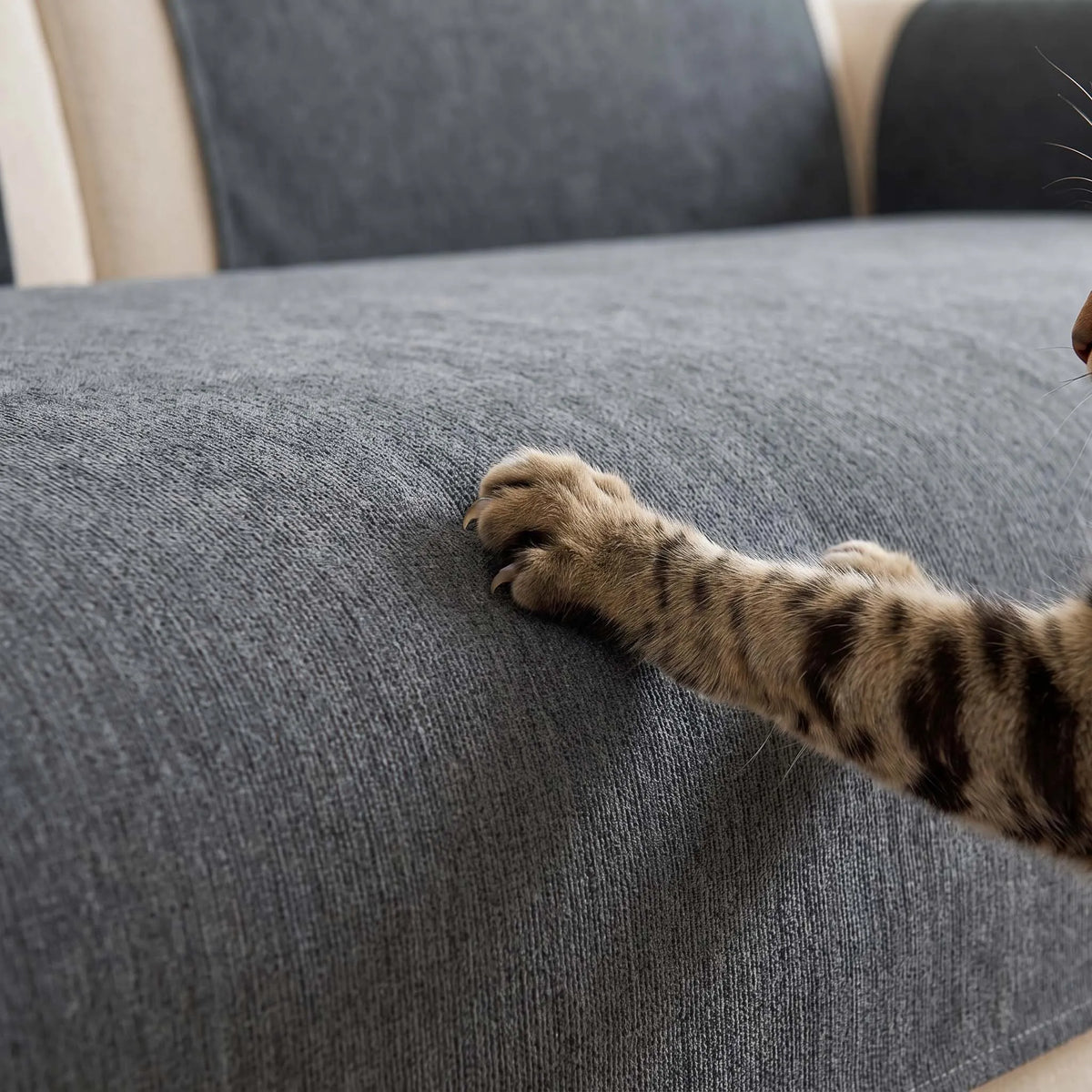 Spill-Resistant Non-Slip Chenille Seat Cover