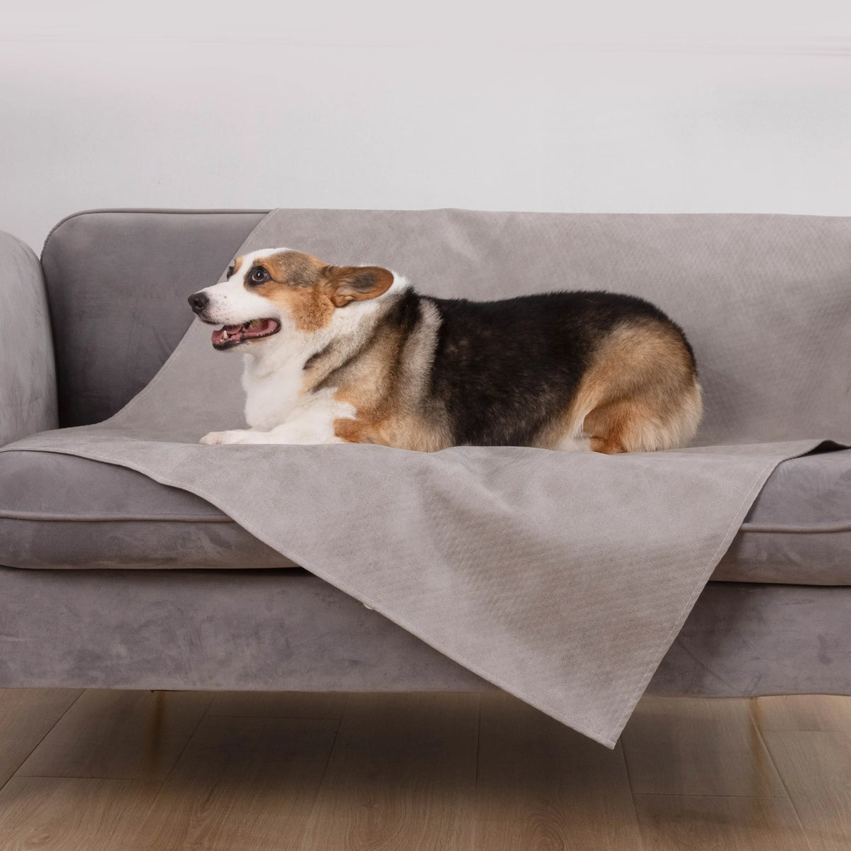 Spill-Resistant Pet Sofa Cover