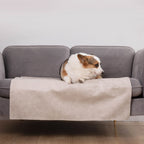 Spill-Resistant Pet Sofa Cover